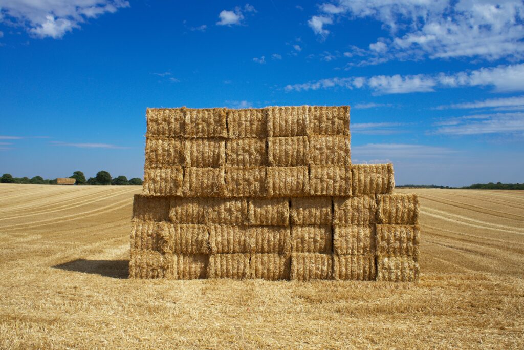 Rana Paddy Straw Supplier in India