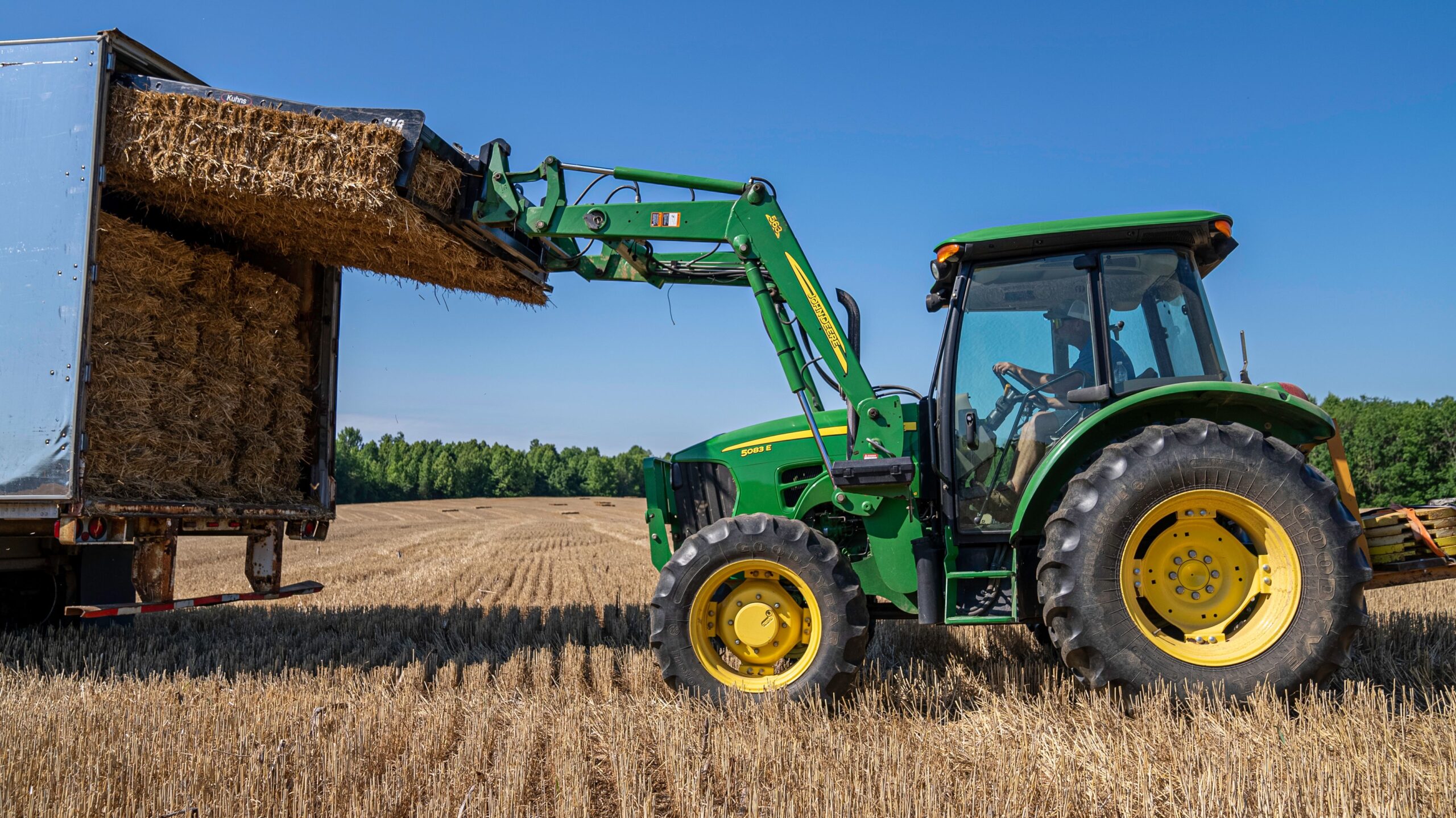 Tractor loading paddy straw bales in harvested fields