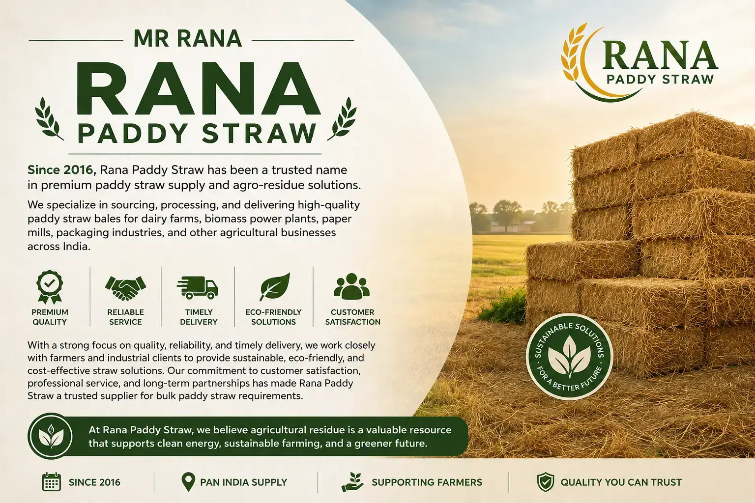 Paddy straw bales: Premium paddy straw bales supplier in India